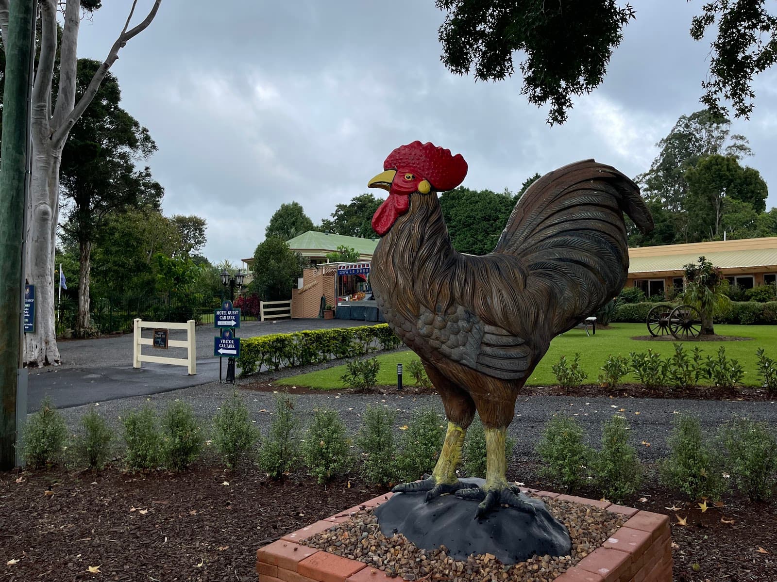 Maleny Hills Motel — Montville, Sunshine Coast