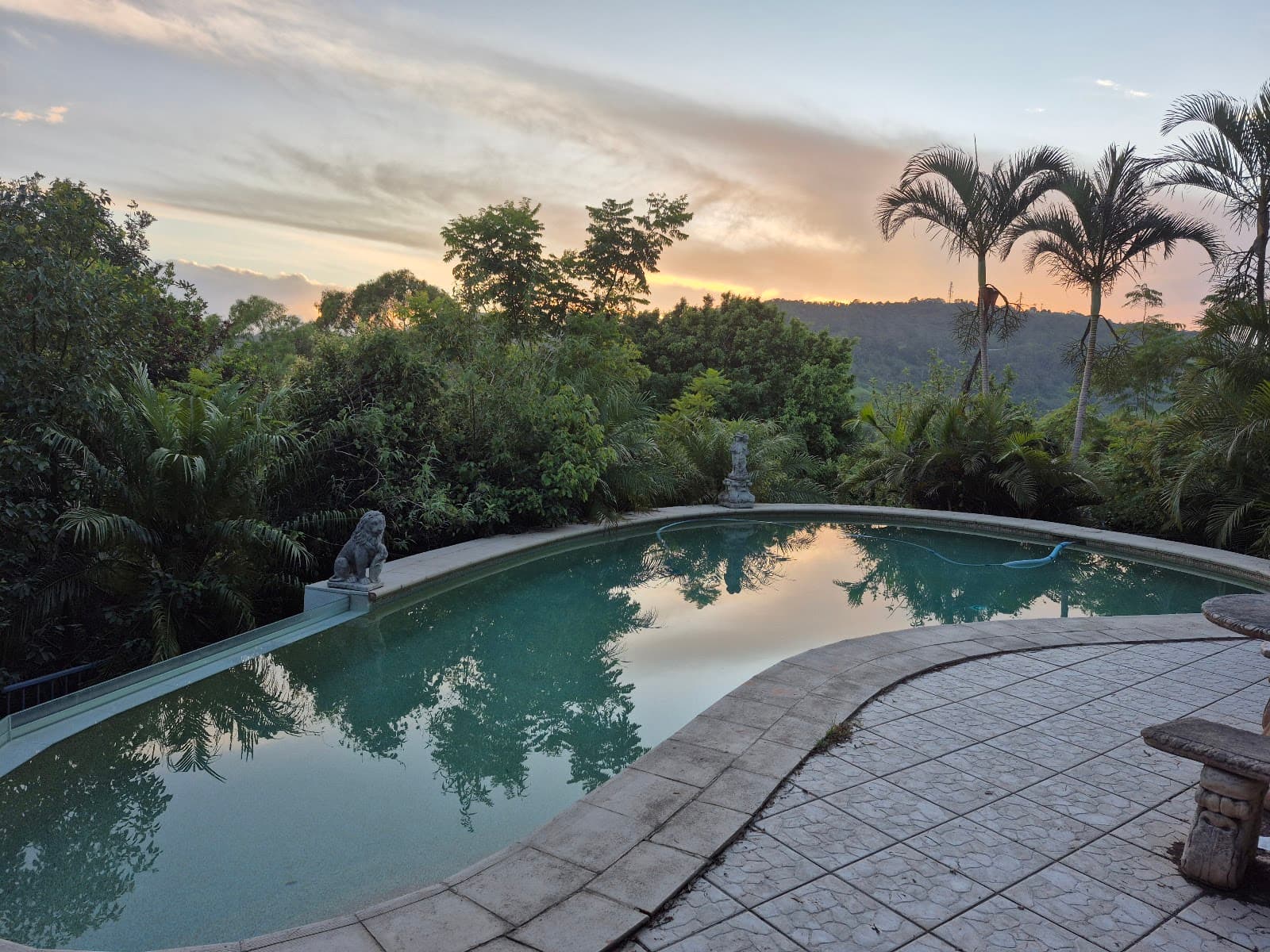 Highwood Park Guest Lodge — Montville, Sunshine Coast
