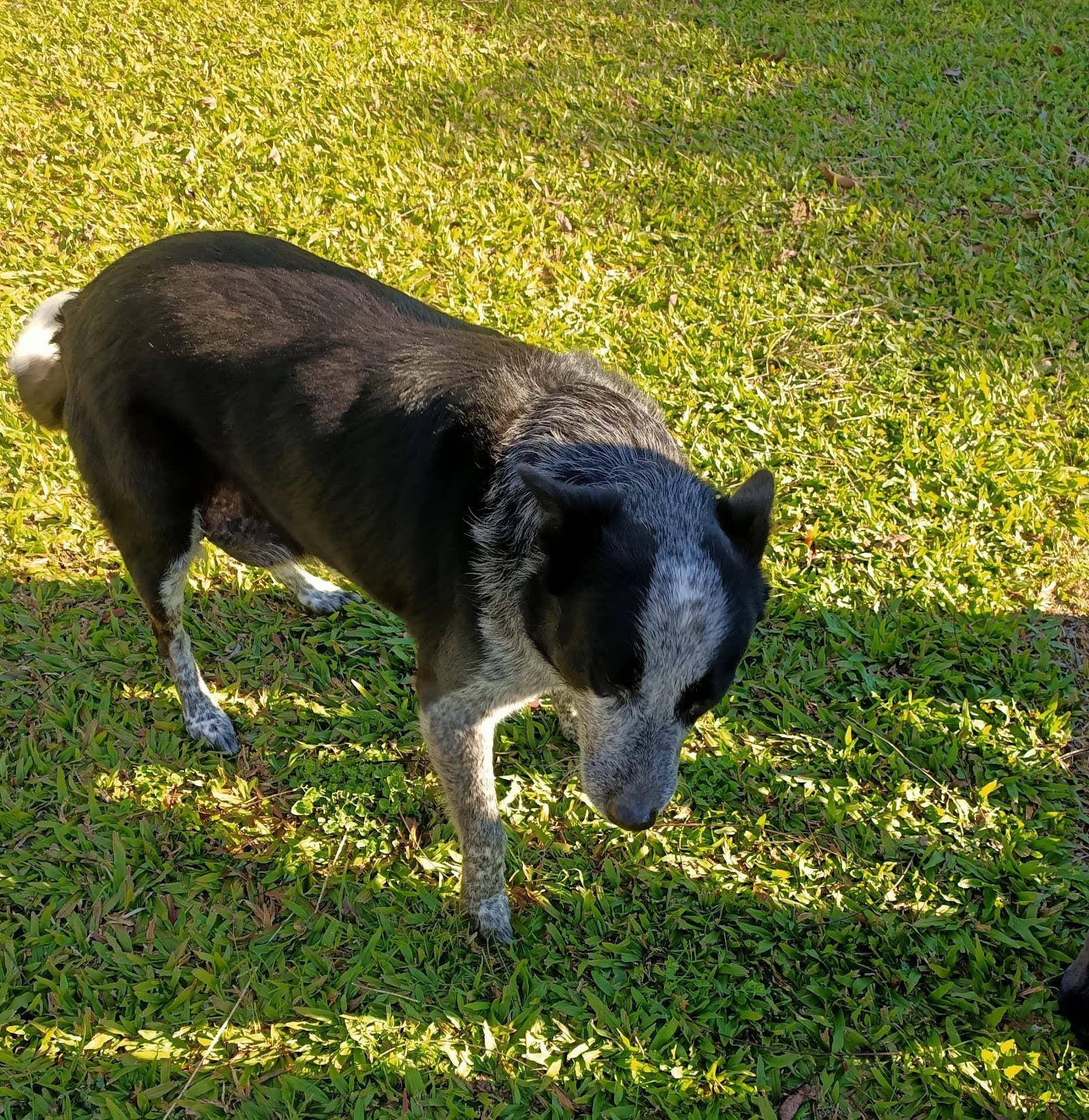 Bielby's Hideaway — Montville, Sunshine Coast