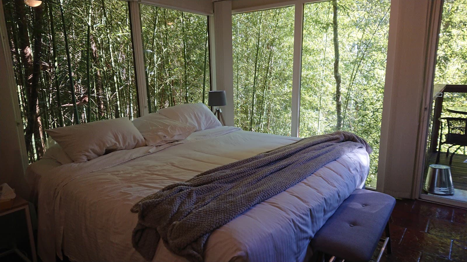 Treetops Montville Accommodation — Montville, Sunshine Coast