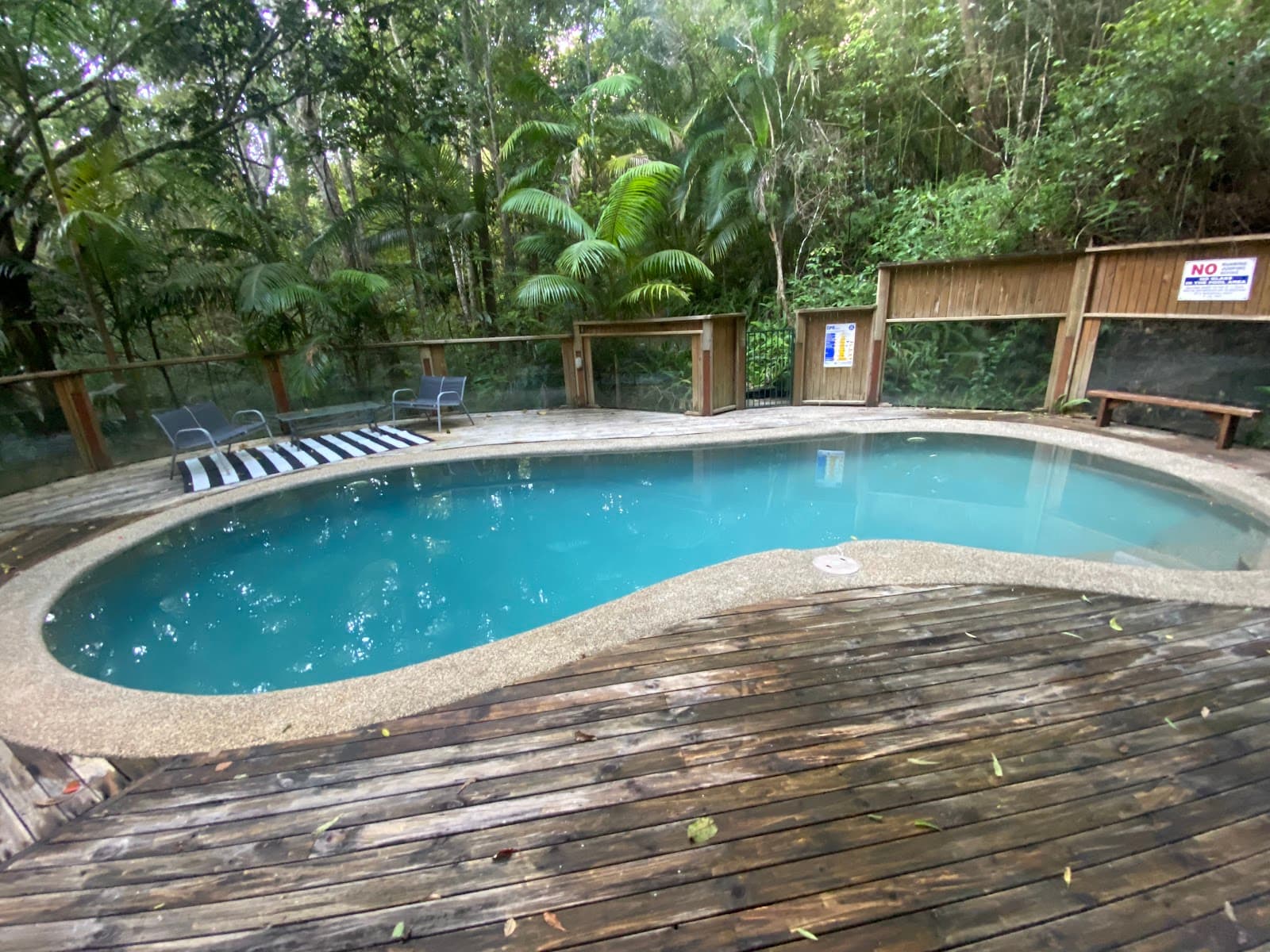Treetops Montville Accommodation — Montville, Sunshine Coast