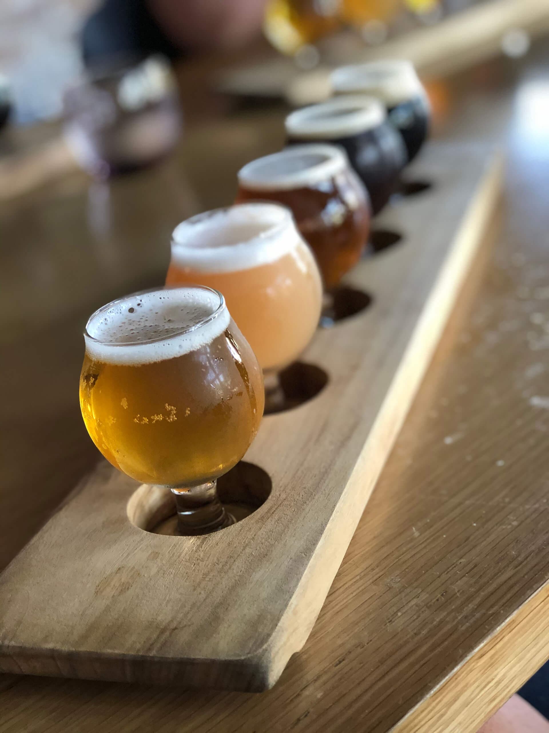 Sunshine Coast Craft Beer Tours