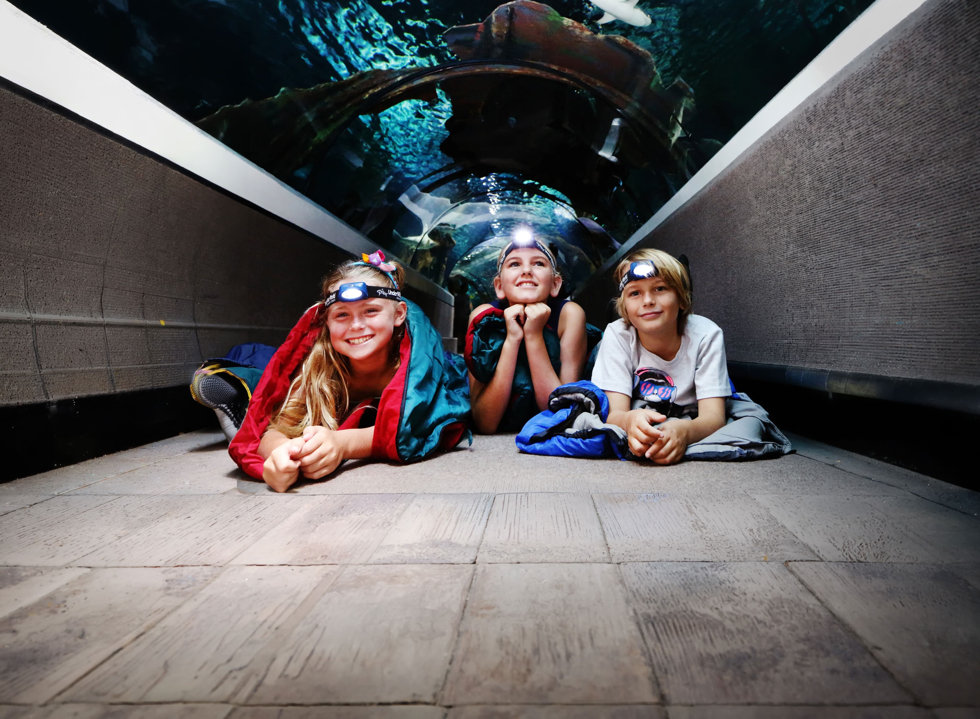 SEA LIFE Sunshine Coast Aquarium