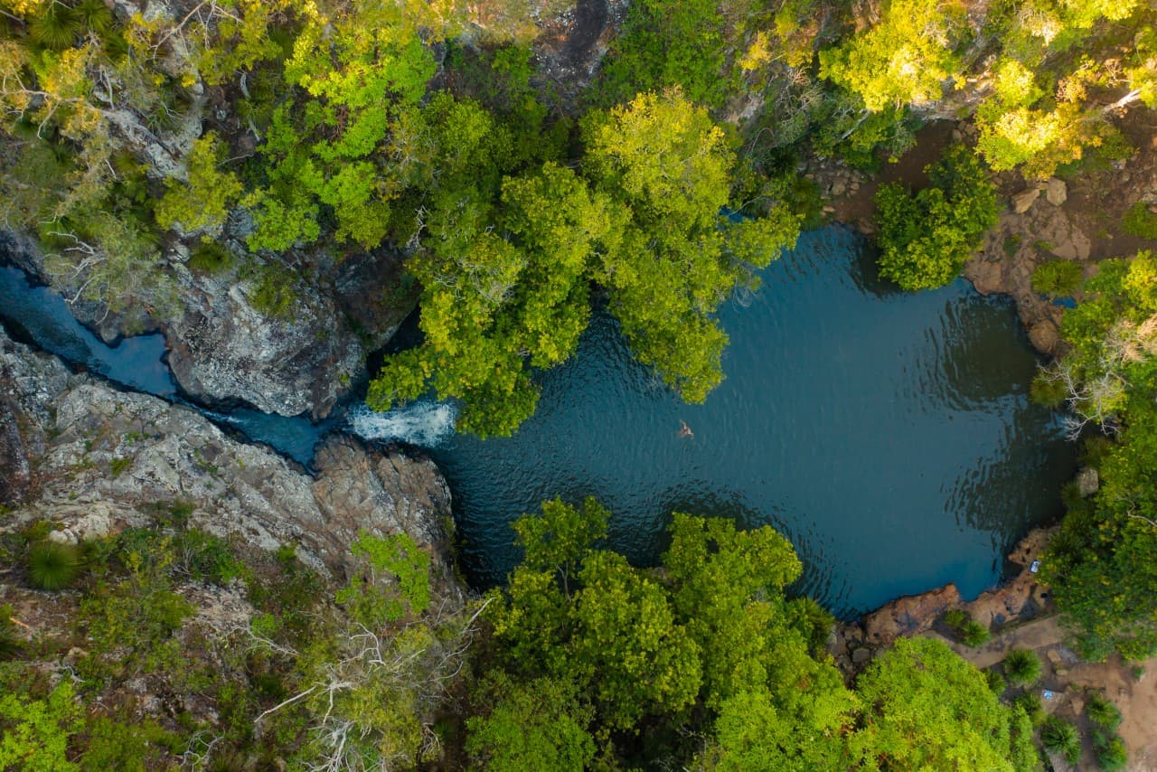Kondalilla Falls