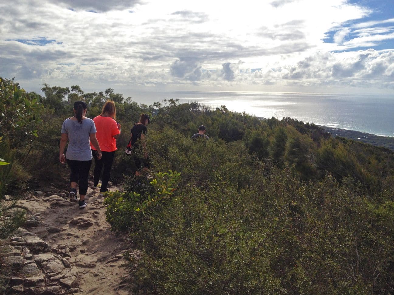 Mount Coolum Walking Trail