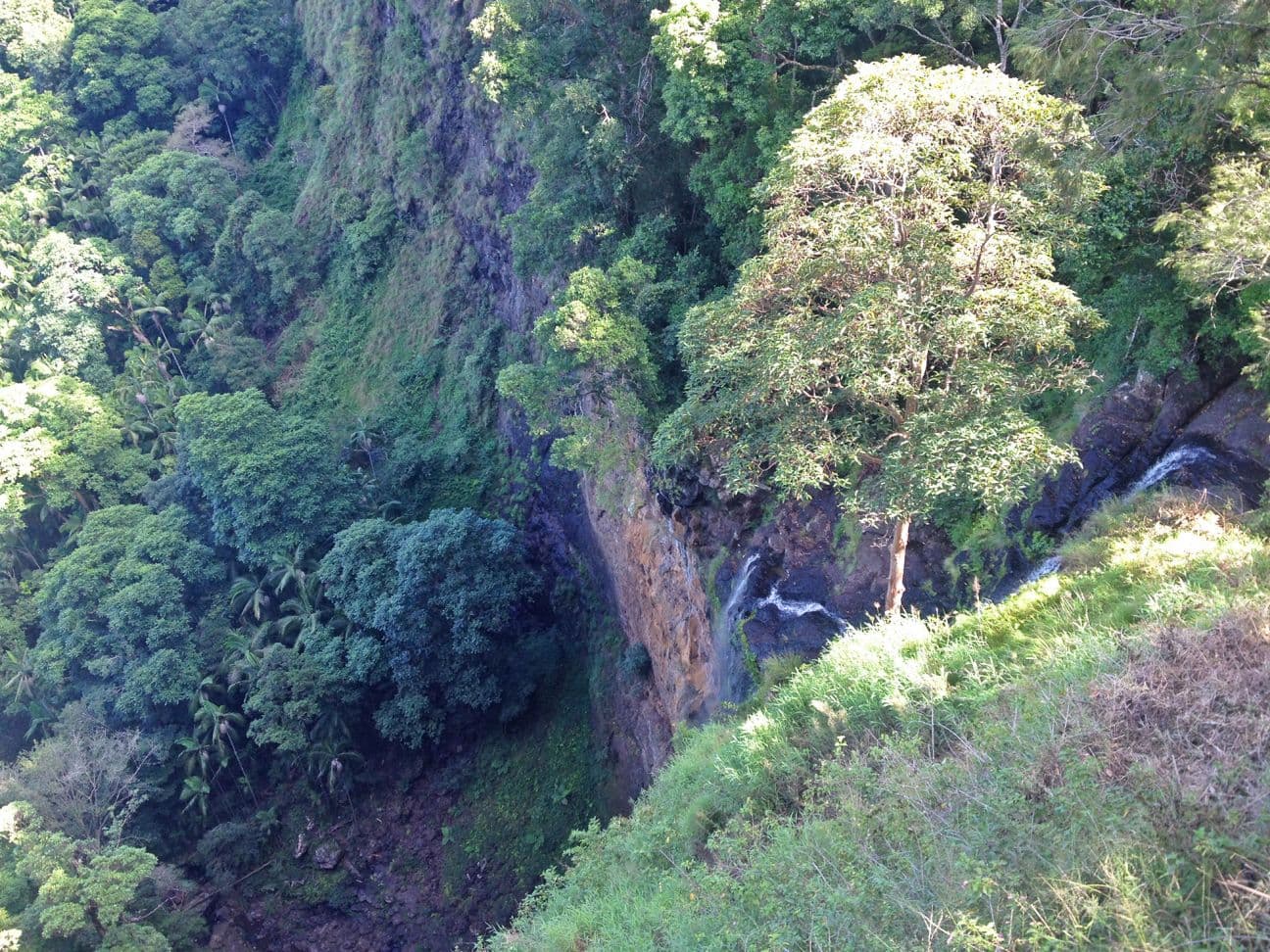 Mapleton Falls National Park