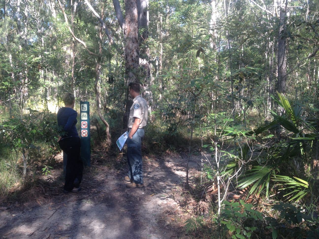 Mount Tinbeerwah Lookout