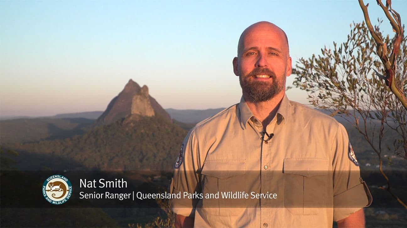 Glass House Mountains National Park