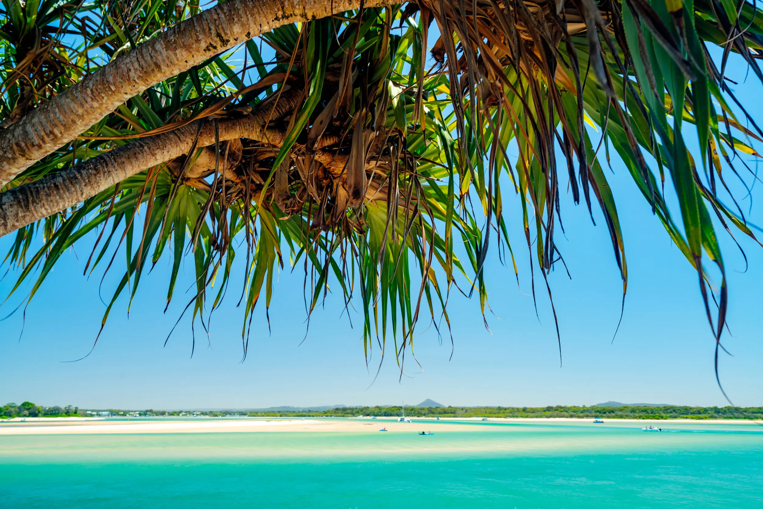 Coral Beach Noosa Resort