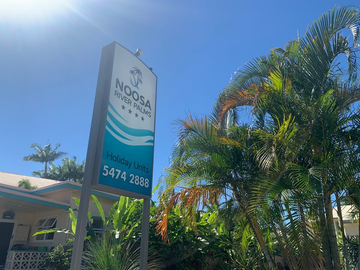 Noosa River Palms
