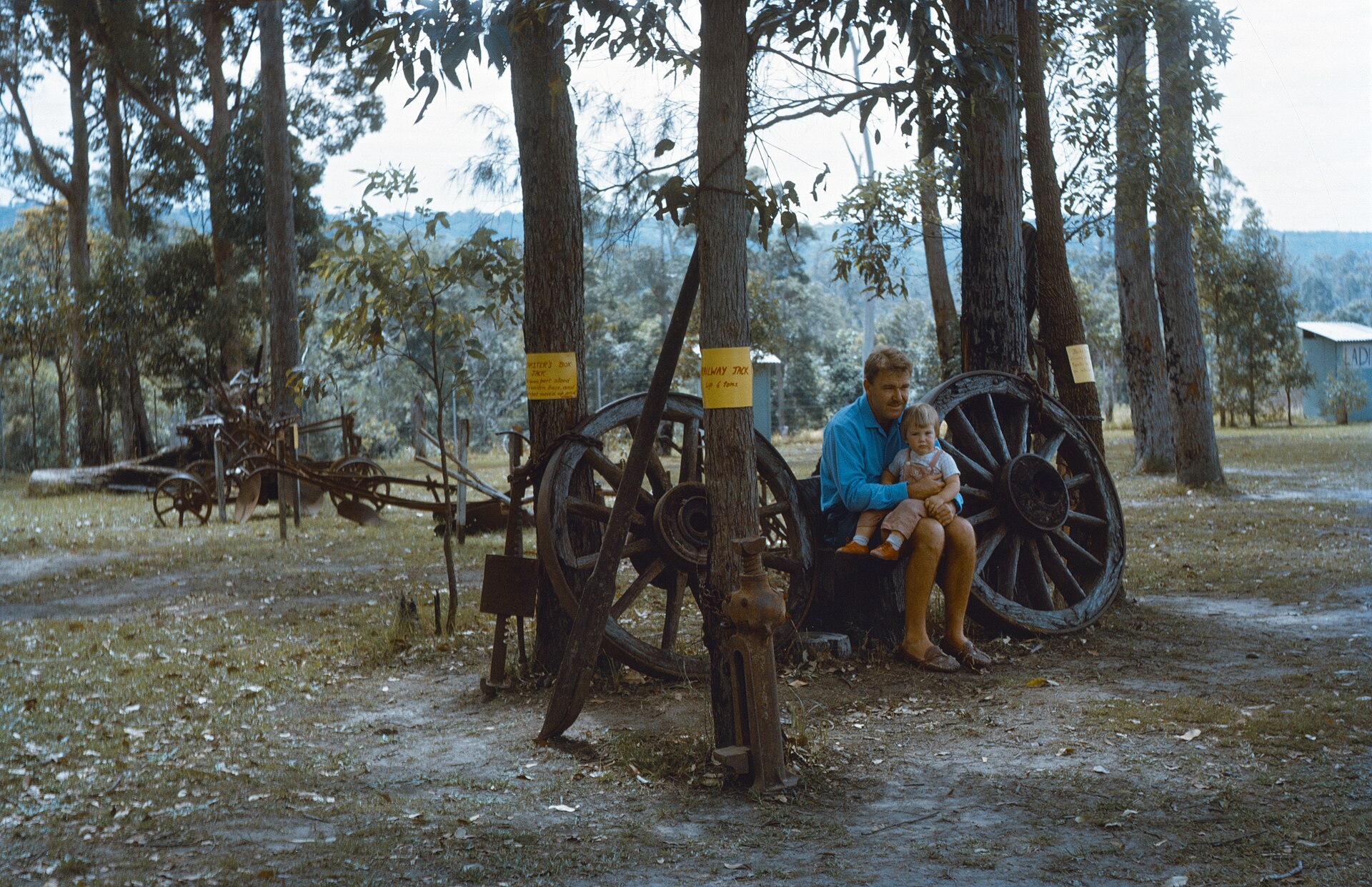 Buderim